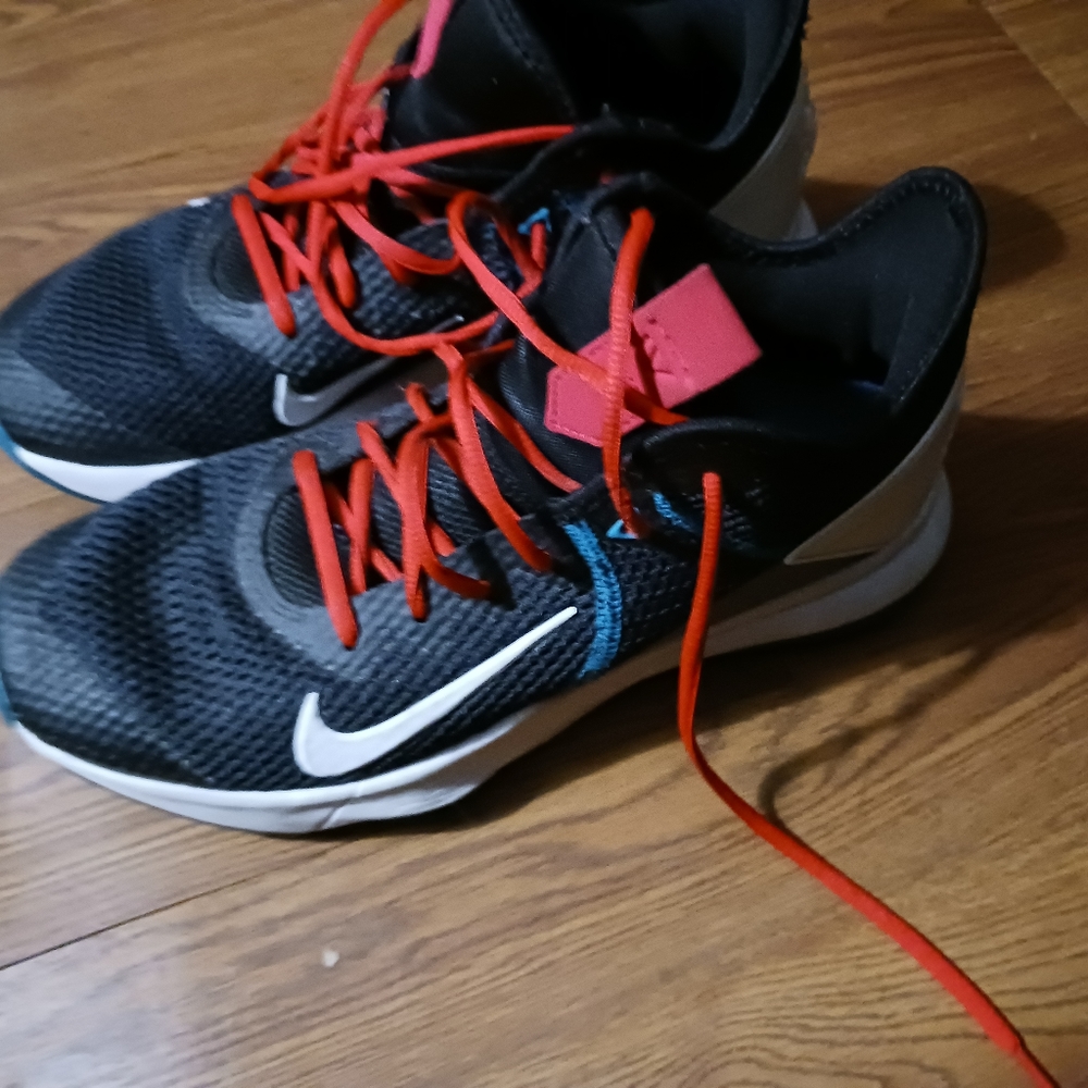 Nike LeBron Witness 4